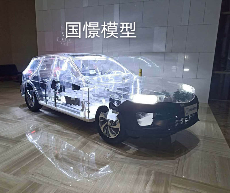 温县透明车模型
